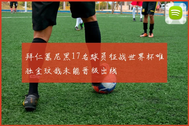 拜仁慕尼黑17名球员征战世界杯唯独金玟哉未能晋级出线