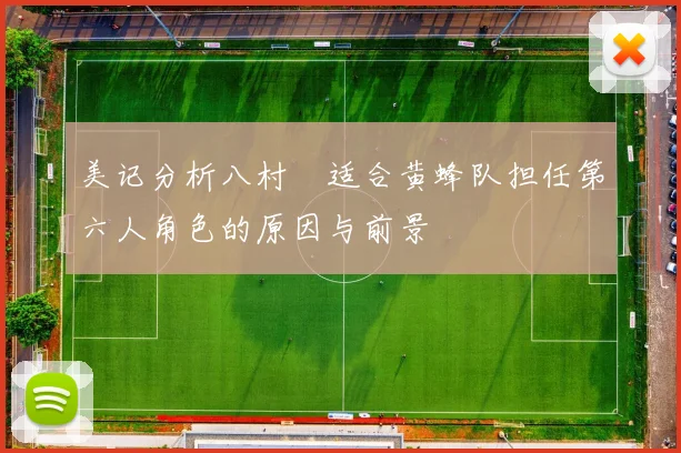 美记分析八村塁适合黄蜂队担任第六人角色的原因与前景