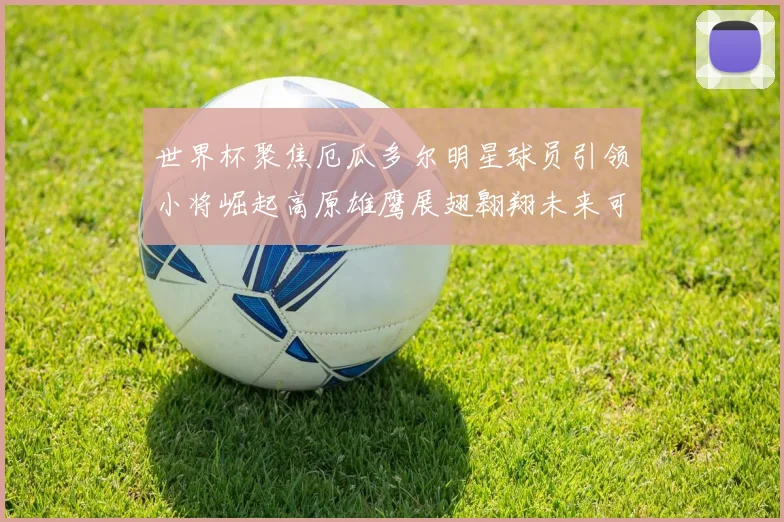 世界杯聚焦厄瓜多尔明星球员引领小将崛起高原雄鹰展翅翱翔未来可期