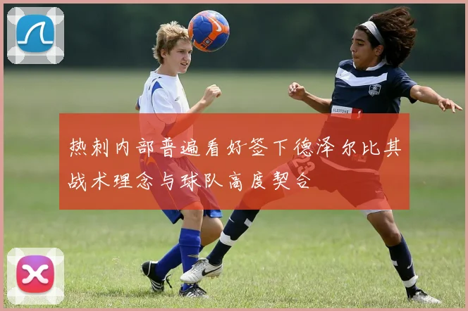 热刺内部普遍看好签下德泽尔比其战术理念与球队高度契合